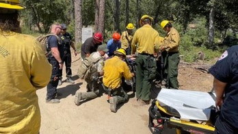 Tragedy at Yosemite's Angel Falls: Couple's Bodies Found Near Raging Waters