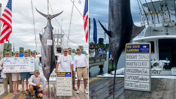 North Carolina fishing team wins $1.7M after catching 504-pound blue marlin