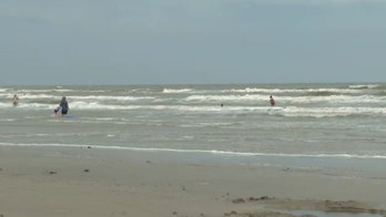 Teen survives shark bite off Texas beach: 'I started punching it'