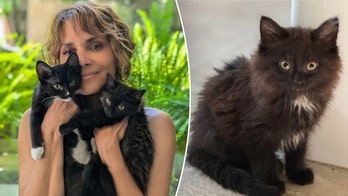 Halle Berry's New Furry Friends: Meet Boots and Coco!