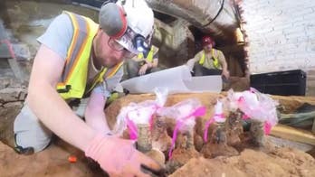 'Blockbuster discovery' unearthed at George Washington's Mount Vernon estate