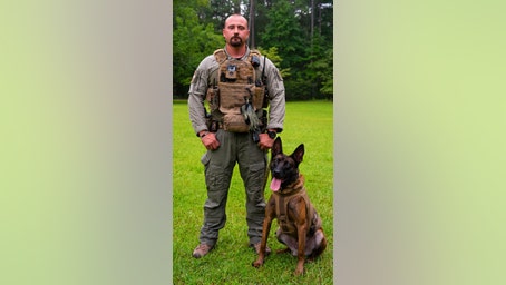 Hero K-9 dies saving human teammates in shootout with fugitive suspect, authorities say