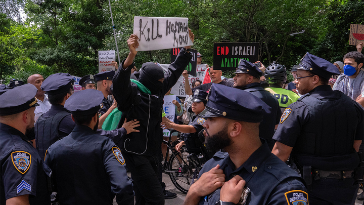 Masked agitator calls for violence against hostages during Israel Day parade in major US city