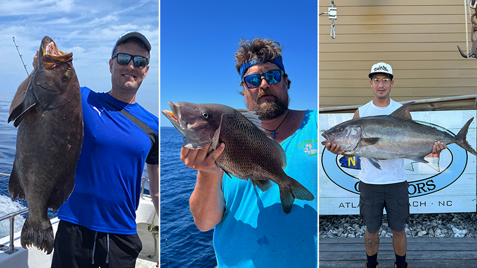 North Carolina anglers reel in three state fishing records: See the 'exceptional' catches