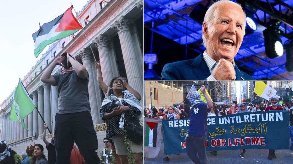 Anti-Israel protesters arrested trying to disrupt Biden's megabucks fundraiser thumbnail