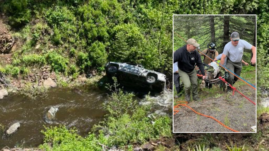 Loyal dog saves camper's life after running miles for help: 'No words'