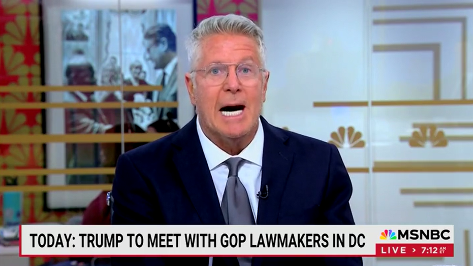 Ex-MSNBC host: ‘The real problem’ is ‘half the country’ supports Trump and the GOP: ‘It’s the voters’