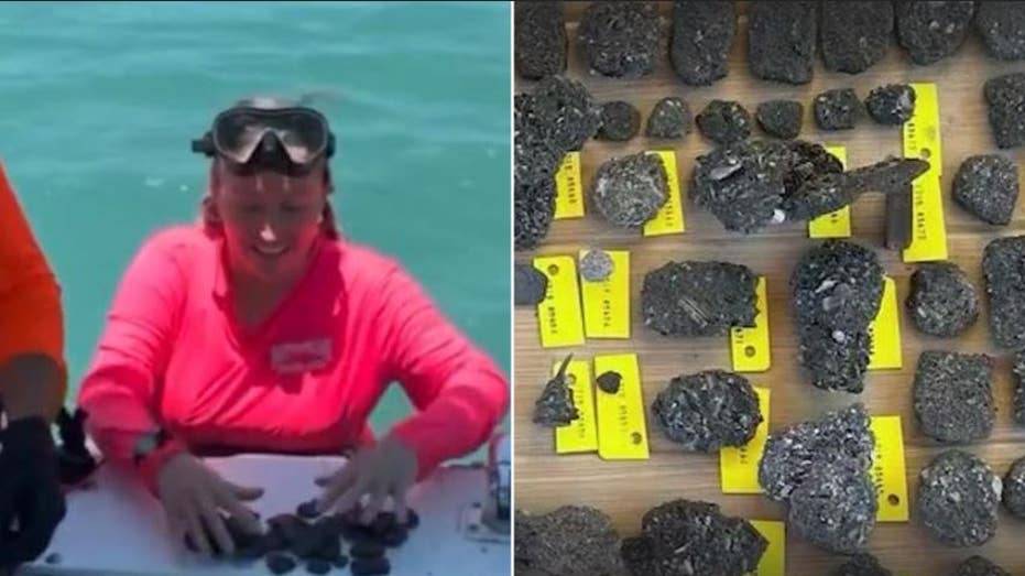 Florida treasure hunters amazed by discovery in 300-year-old shipwrecks: 'You don't expect that'