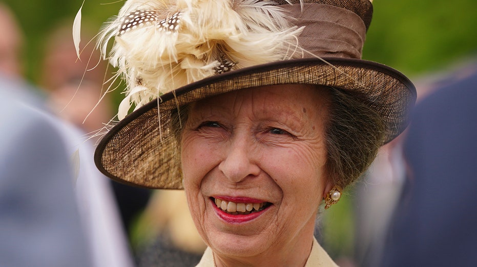 Princess Anne, sister of King Charles, suffers concussion, palace says