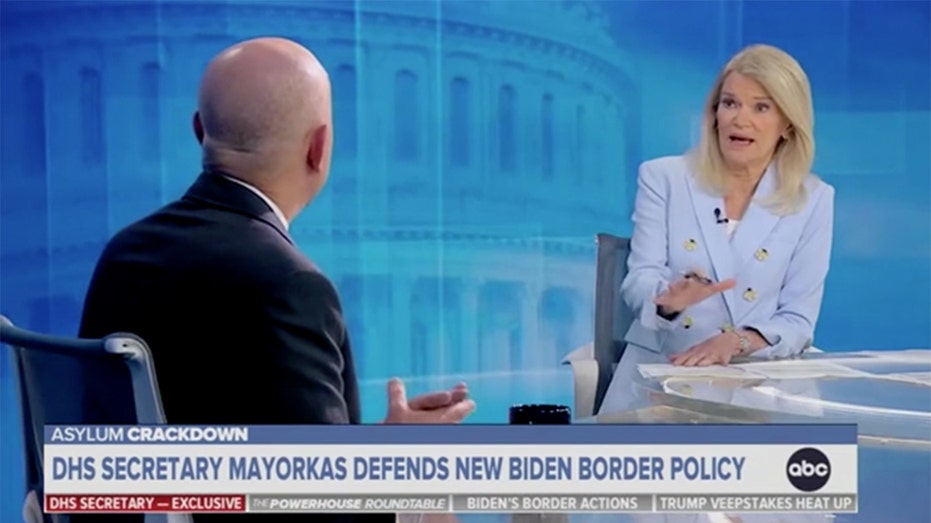 ABC host tells Secretary Mayorkas it’s ‘very hard’ to call Biden’s actions at the border a ‘success’