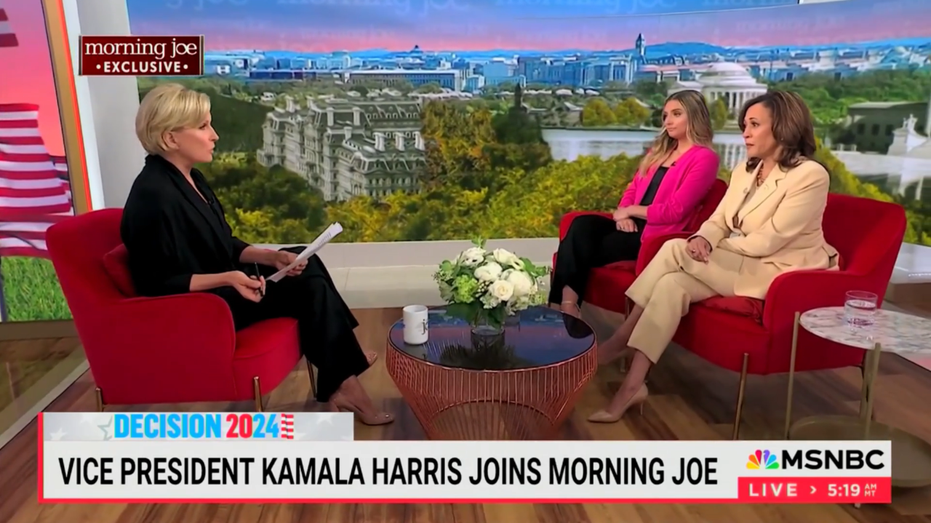 MSNBC host complains to Kamala Harris the race is too close with Trump: 'What's going on?'