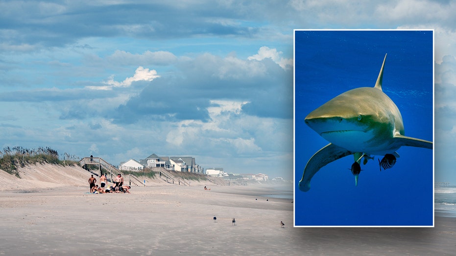 Shark bites teenager's leg in attack at North Carolina beach thumbnail