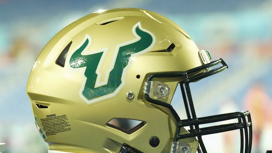 USF tight end, 20, dead after car crash in Minnesota thumbnail