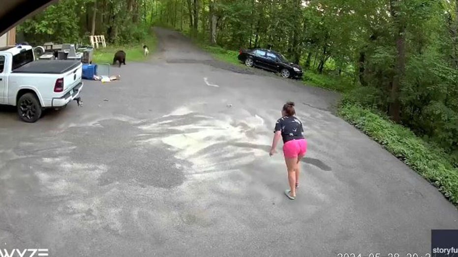 Heart-pounding video shows bear chase dog, then Minnesota woman in driveway: ‘Lunged at me’