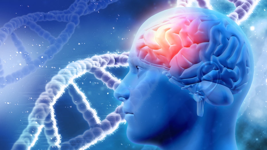Rise of the superbaby? US startup offers genetic IQ screening for wealthy elite: report
