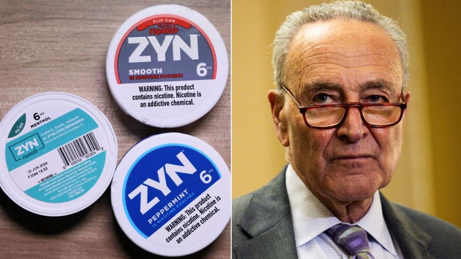 Conservative groups launch 6-figure campaign to defeat Dem crackdown on Zyn: ‘Save our pouches’