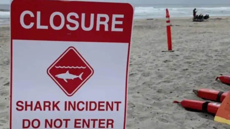 Shark attack off California coast leaves 46-year-man hospitalized, beaches closed