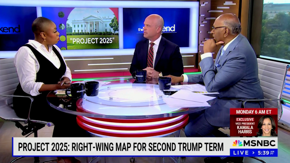 MSNBC host scolds co-host for saying 'illegal immigrant' on program: We say 'undocumented'