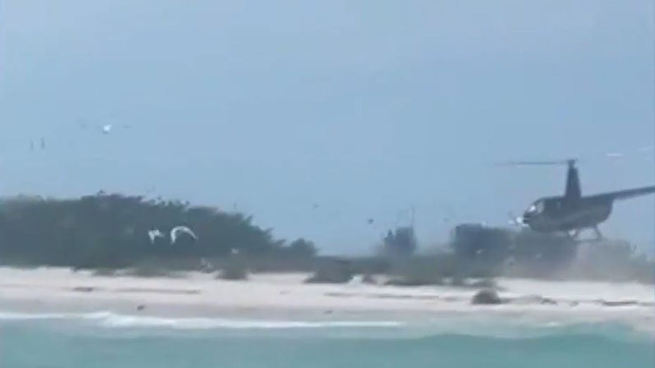 Florida helicopter pilot charged with harassing protected birds after landing on shorebird nesting site