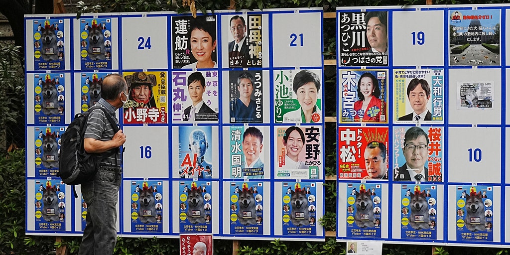 Japan-Election-Odd-Candidates.