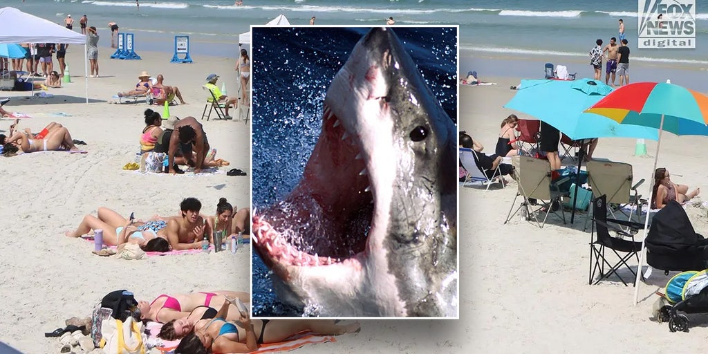 Ohio tourist bitten by shark at Florida beach while playing football in knee-deep water