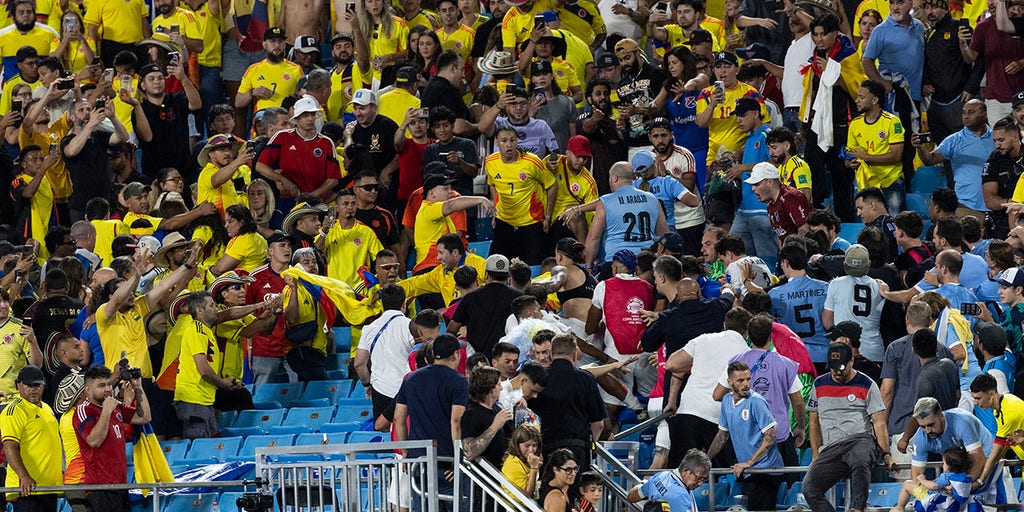 Uruguayan Football Association condemns brawl with fans from Copa América semifinal