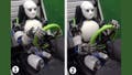 Musashi musculoskeletal humanoid robot