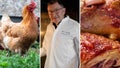 French chef Antoine Westermann elevates chicken at Le Coq &amp; Fils in Paris. It features heritage-breed chickens from small farmers. - Fox News