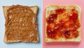 Peanut butter vs. jelly: Dietitians share 'spoonful' of truth about the two spreads - Fox News