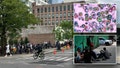 At least two people staying at a sprawling migrant shelter in New York city have contracted measles and health officials in the Big Apple are working to stop the spread of the disease, according to reports.