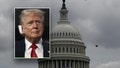 Former U.S. President Donald Trump is pictured in front of the U.S. Capitol. - Fox News