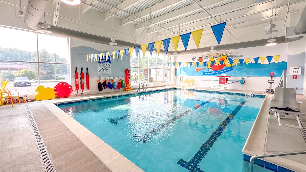 Stewie The Duck Swim School
