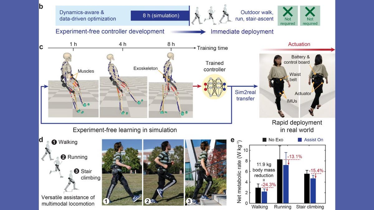 AI-based exoskeletons reduce strain and improve performance.
