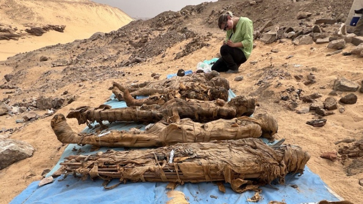 Mummies sprawled out in Egypt