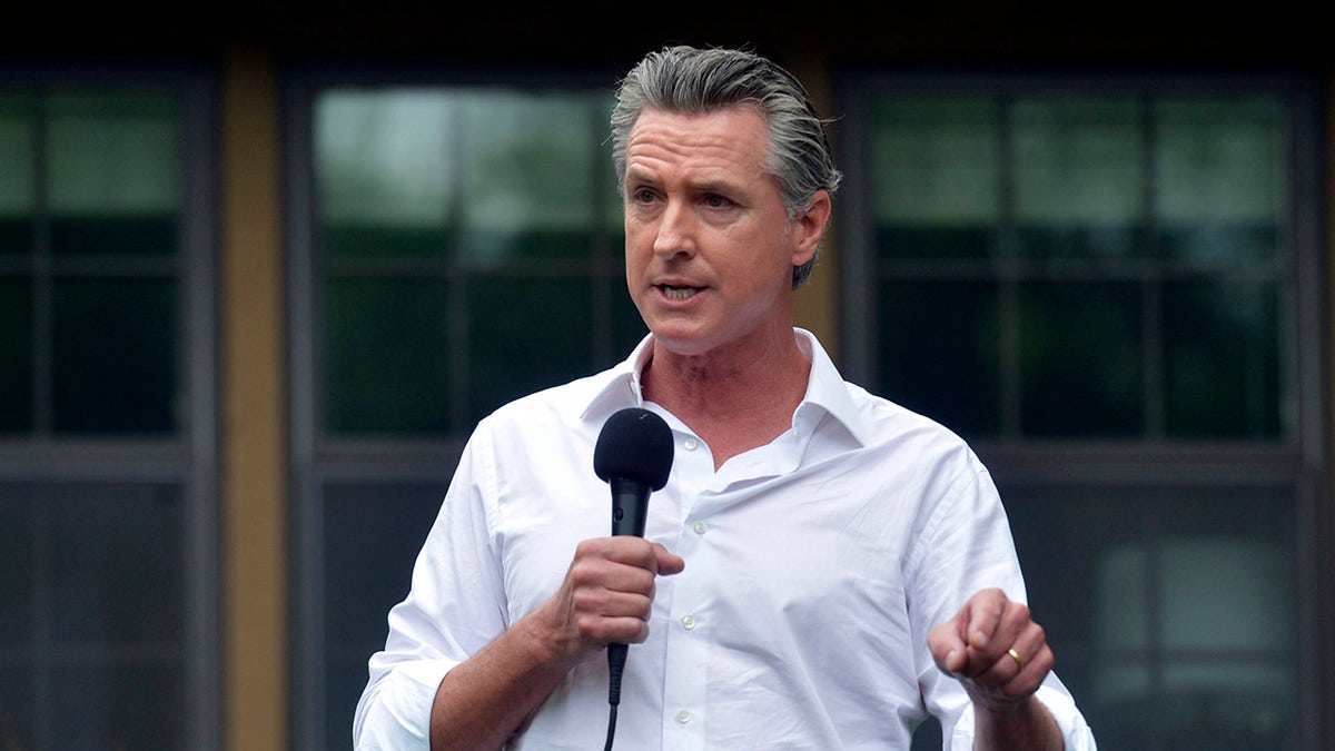 Newsom in Michigan