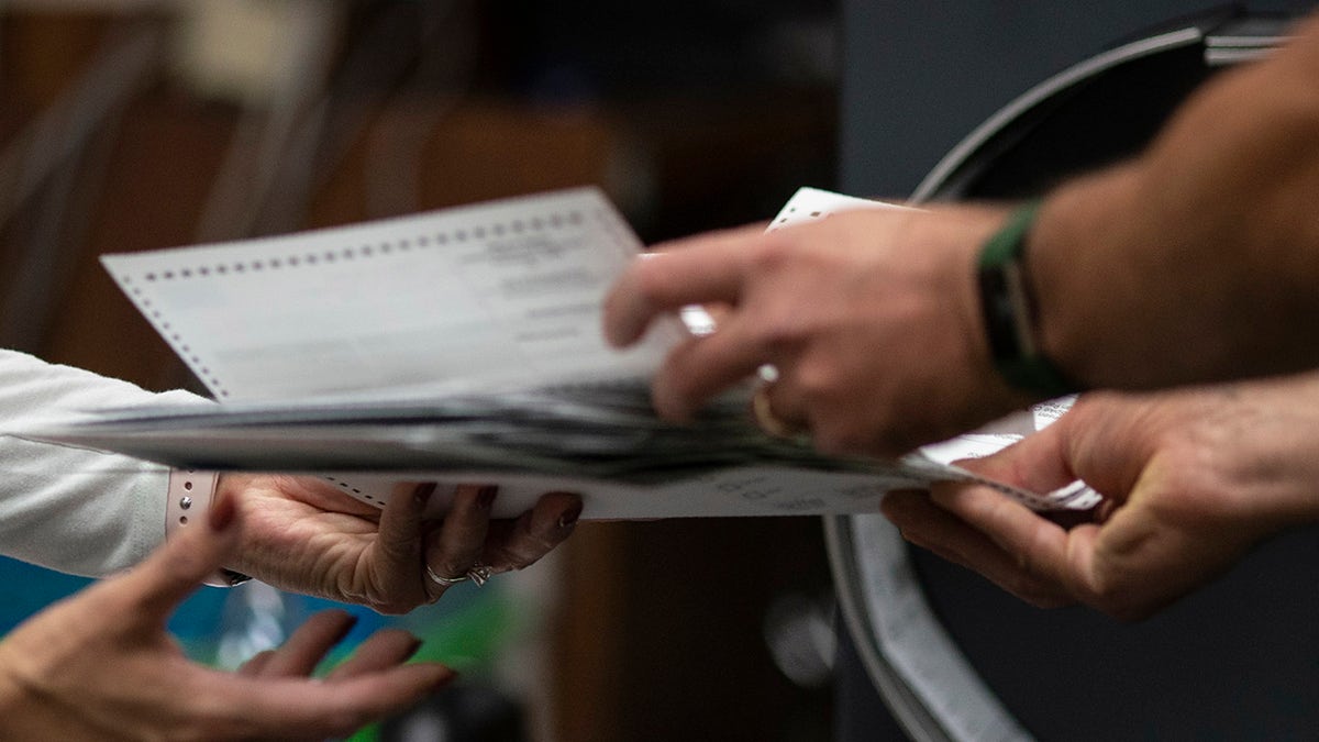 Election workers processing ballot papers