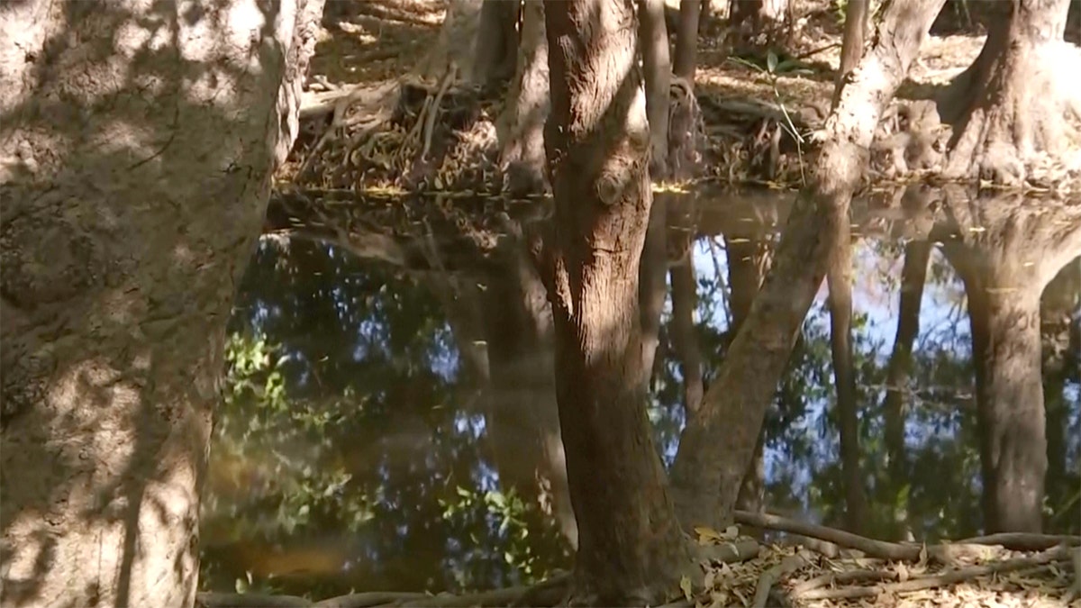 Uma vista do rio onde os restos mortais de uma criança de 12 anos foram descobertos na Austrália