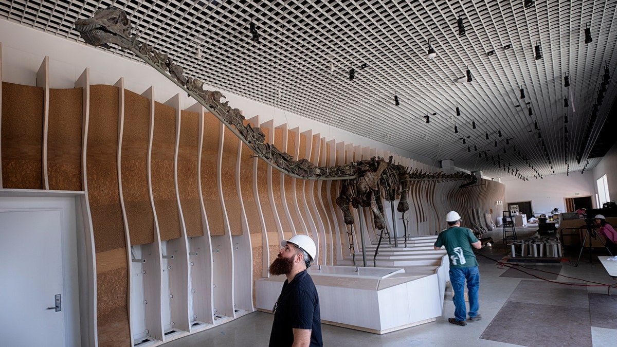 A dinosaur skeleton is displayed at the Natural History Museum's new welcome center as a construction crew works.