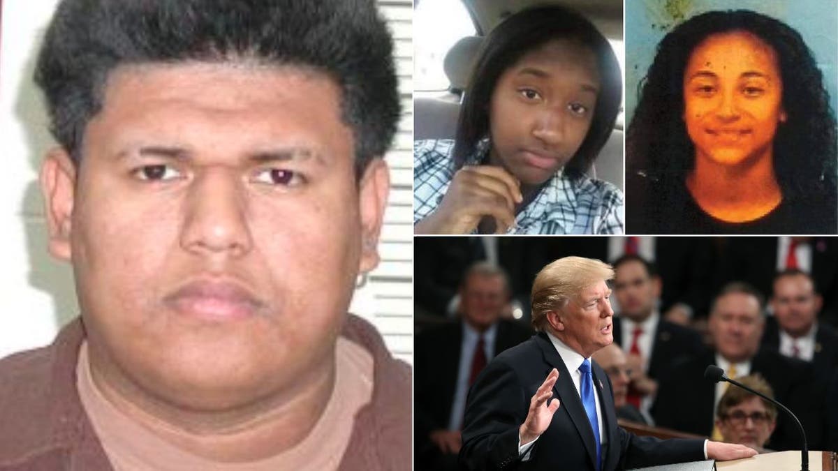 Collage ms-13 killer