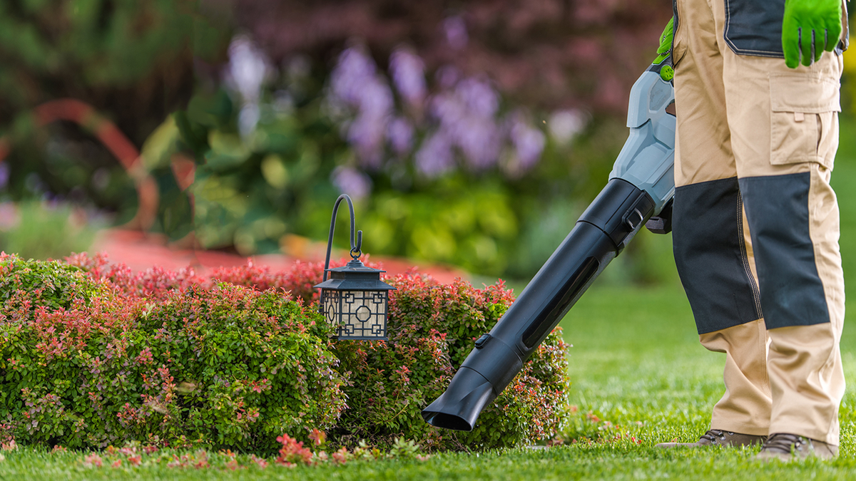 An electric leaf blower is less of a noise pollutant and more eco-friendly.