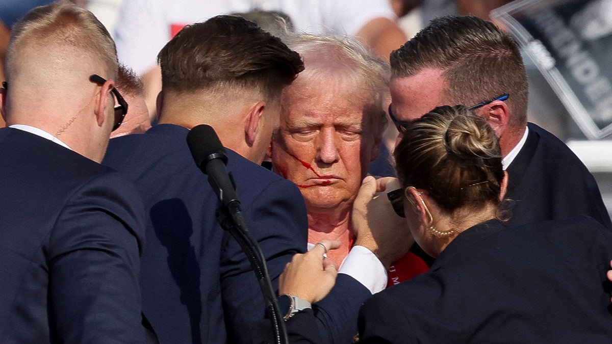 Donald Trump gestures with a bloodied face as multiple shots rang out during a campaign rally