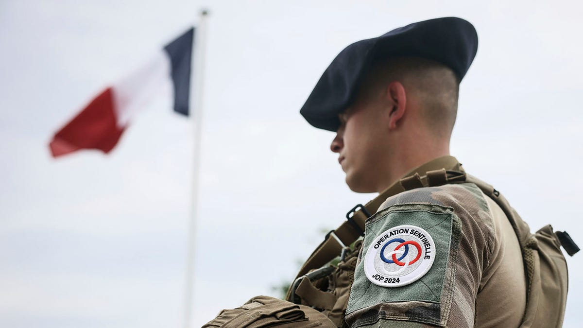 French Soldier looks out with flag in background