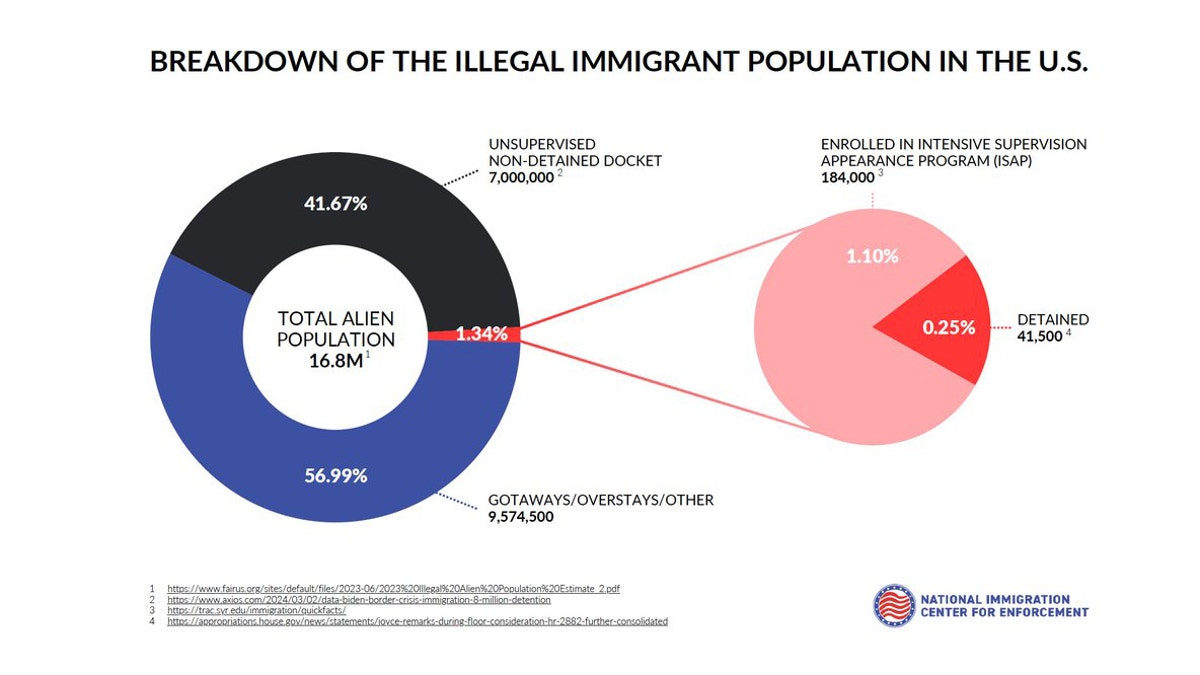 NICE analysis illegal immigrants.