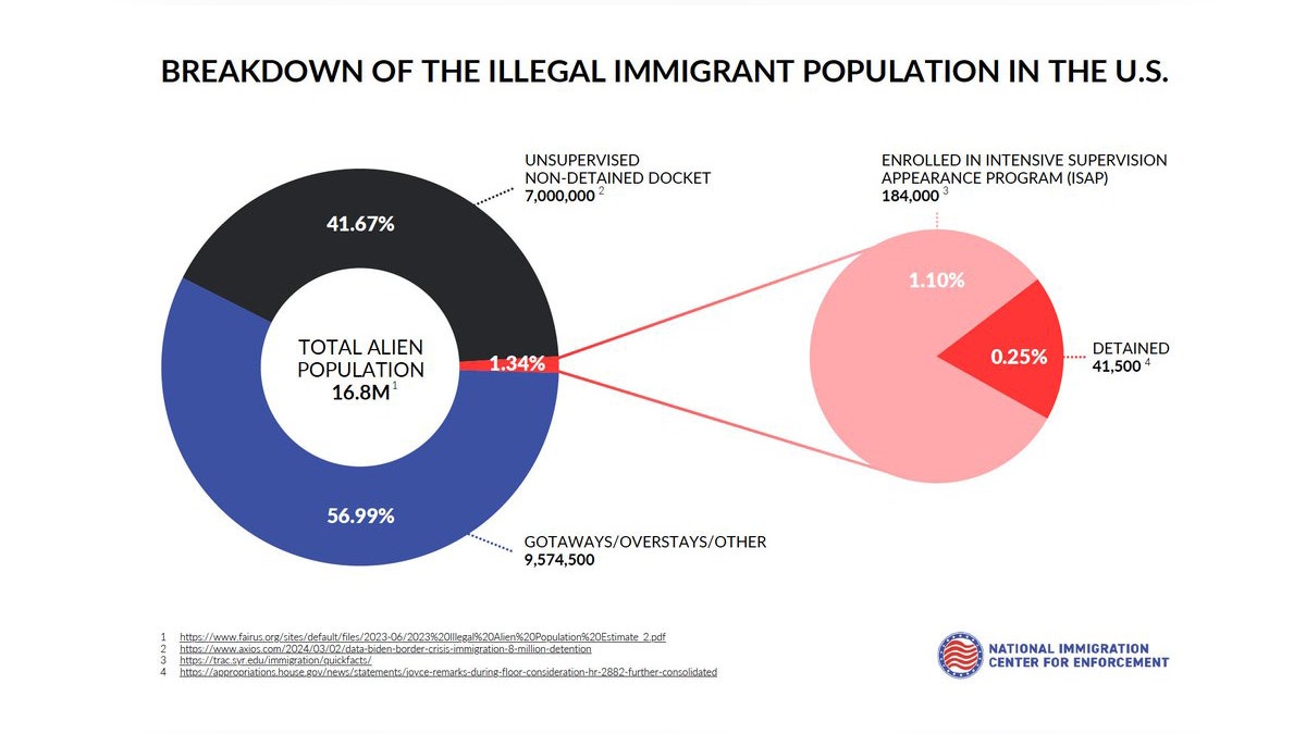 NICE analysis illegal immigrants.