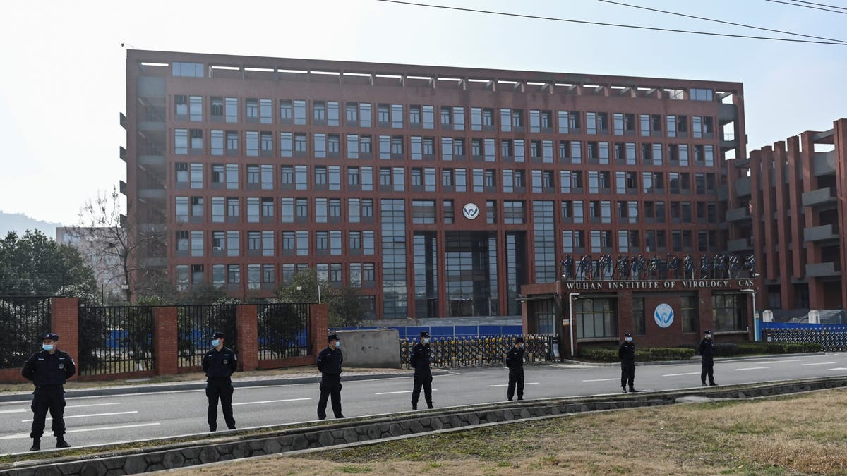 Wuhan Institute for Viruses in Wuhan