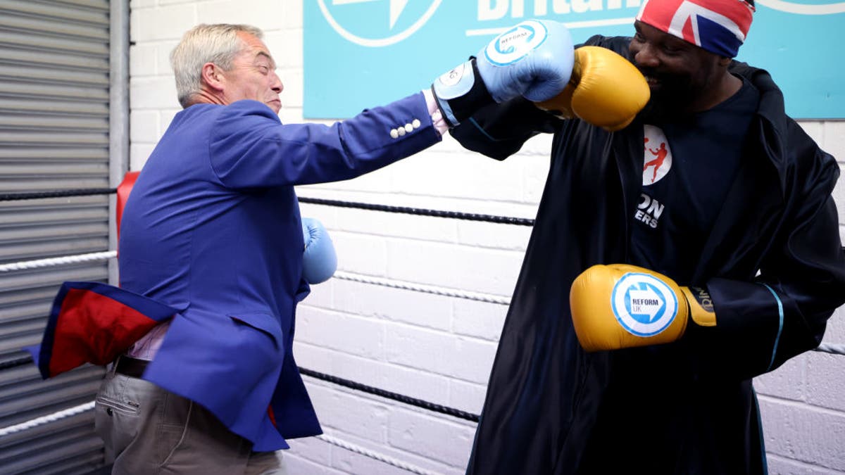 Nigel Farage boxing