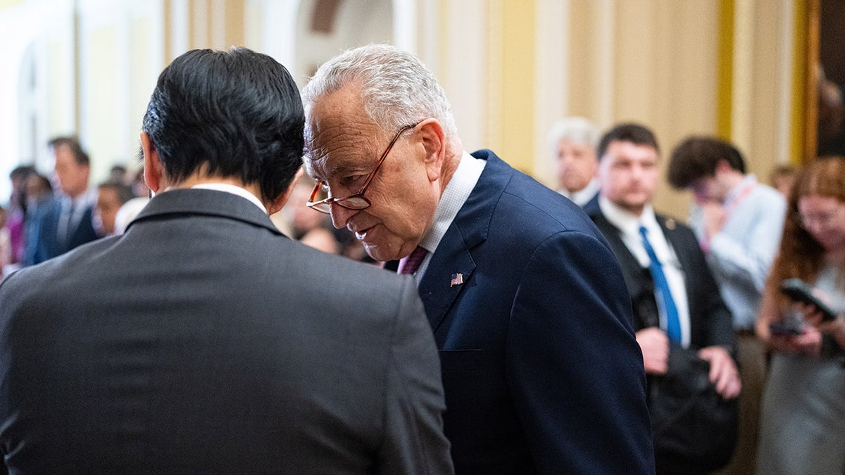 Schumer on Capitol Hill