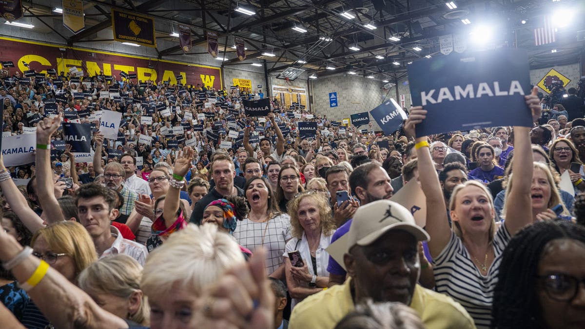 Crowd at a rally for VP Harris in Wisconsin
