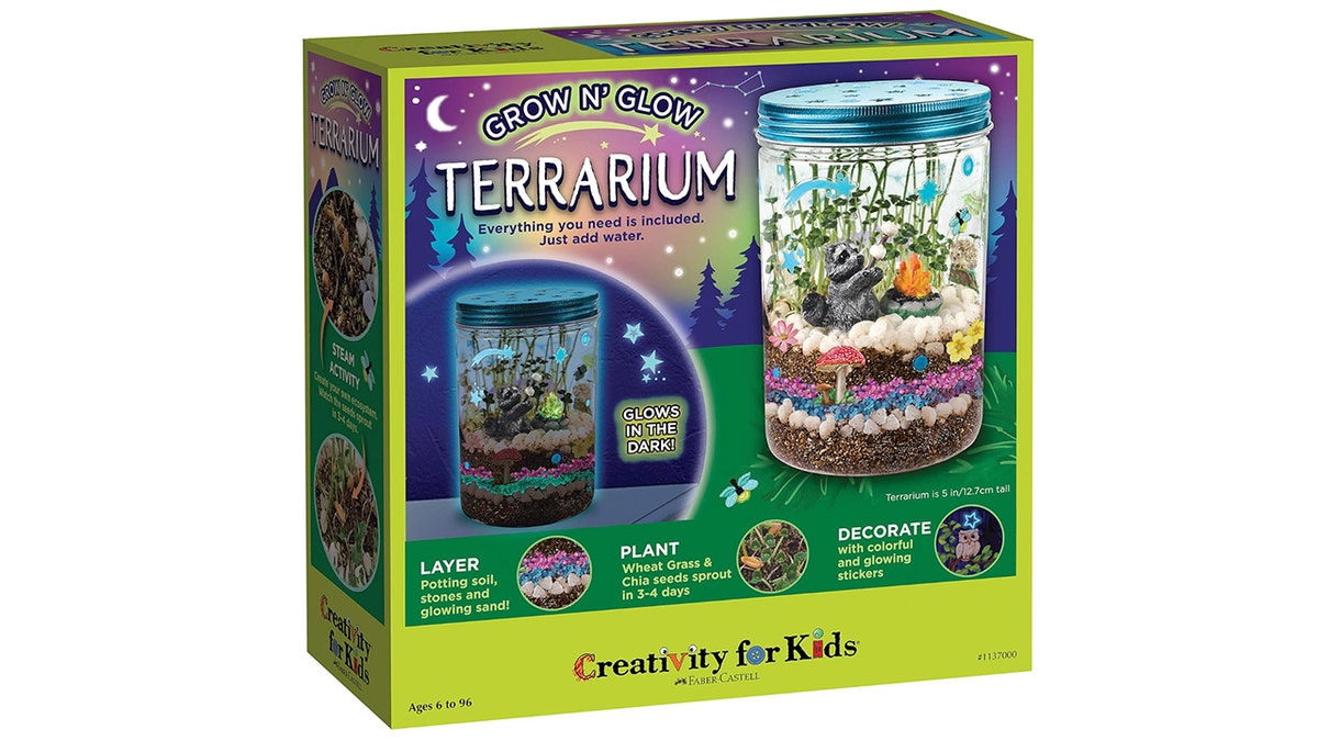 Amazon ECOMM grow n glow terrarium