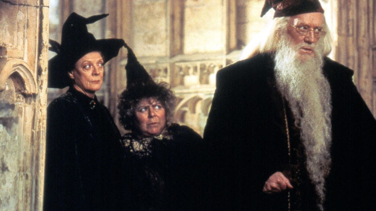 "Harry Potter and the Chamber of Secrets" photo